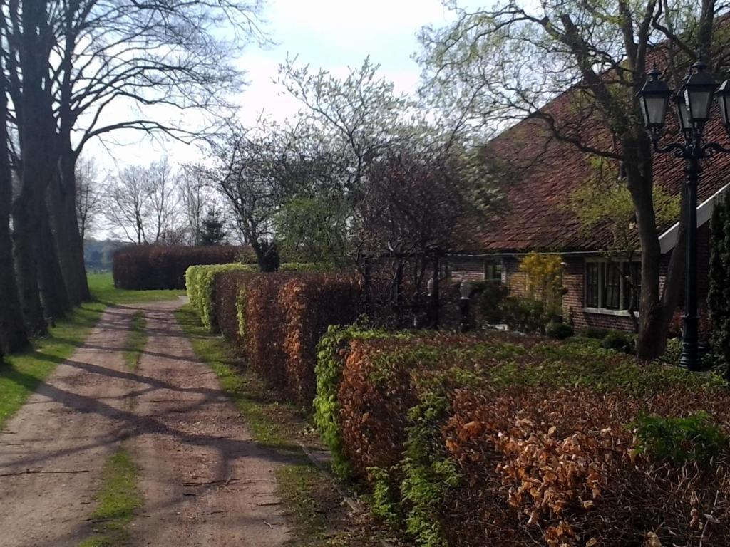 Bed & Breakfast Uiterburen Zuidbroek Εξωτερικό φωτογραφία